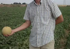 José Luís Moreno, ingeniero agrónomo y técnico de promoción y desarrollo en Clause Spain, nos muestra un ejemplar del melón Galia LAMBADA.