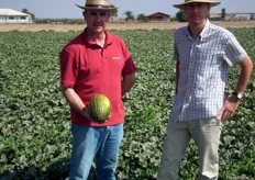 Pepe sostiene un precioso ejemplar de melón VALIENTE junto a José Luis Moreno. En tan sólo unos pocos años se ha ganado la confianza de todos los productores murcianos.