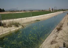 El transvase del TAJO-SEGURA permite el riego con la cantidad necesaria de agua para toda la zona de Cartajena