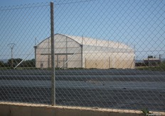 Instalaciones de HM CLAUSE Spain en Pozo Estrecho, Murcia,con 20 hectareas en campo abierto y 1 hectárea de invernaderos.