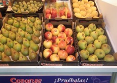 Exquisitas frutas expuestas en el stand de Cosanse.