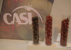 la compañía especialista en tomates estima que crecerá un 10% en la comercialización durante la campaña 2013-2014, con lo que llegará a vender alrededor de 250 millones de kilos de tomate.