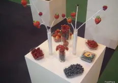 Berries expuestas de forma original en el stand de Euroberry.