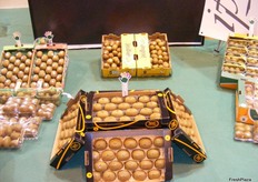 Kiwis expuestos en el stand de Kiwi Atlántico.