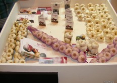 Ajos expuestos en el stand de Terrallana.