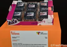 Rocioberry de EUROBERRY es una nueva marca, nueva caja y nueva etiqueta para la mejor variedad de arándano del mercado.
