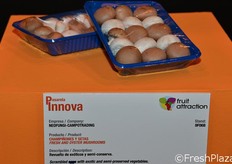 Champiñones y setas de NEOFUNGI-CAMPOTRADING, en está ocasión presentados en un revuelto exótico y semiconserva, perfecto para cuartas y quintas gamas.