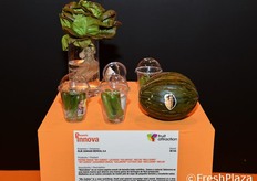 La gama de pepino, lechuga y melón que presenta RIJK ZAWAAN IBERICA consiste en el “MyCubies”, un nuevo pepino snack de tamaño baby nutritivo, fresco y natural; “Salanova” es una marca que abarca una nueva gama de lechugas de fácil preparado. Mediante un único corte la lechuga se deshoja en un gran número de bonitas hojas de igual tamaño y excelente sabor, y “Mellisimo” es un nuevo concepto de melón piel de sapo de pequeño tamaño y excelente sabor.