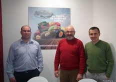 Equipo directivo de Agrollanos, productores y comercializadores de melón y sandía, calabaza cacahuete y pimiento lamuyo en Castilla La Mancha (España).