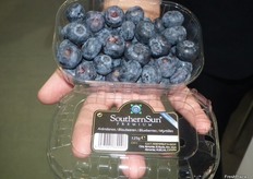 En esta tarrina de la marca SouthernSun, Alberto nos muestra el gran calibre que puede ofrecer la variedad Rocío, desarrollada por Euroberry.