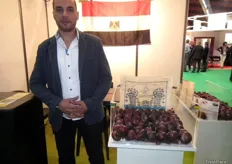 Mohamed Elwany, Director General de ALELWANY, empresa egipcia exportadora de cebollas moradas.