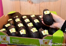 Marca NATIVE, de Frutas Montosa, para el segmento de Ready to Eat.