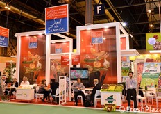 Representación de la Región de Languedoc Rousillón, Francia.