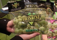 Pristine se caracteriza sobretodo por su textura ultra crujiente y su dulzura.