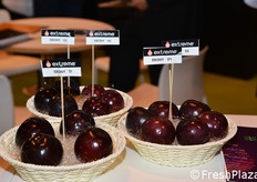 Novedades en ciruela expuestas en el estand de Provedo.