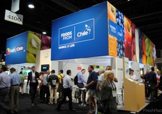 El pabellón chileno, como de costumbre visitado por muchas personas.