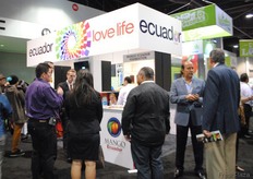 Fundación Mango Ecuador