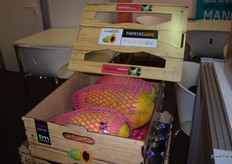 Tropical Millenium está desarrollando el cultivo de papaya en Málaga. Suministra todo el año desde Canarias y América Latina.