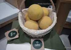 Nuevo melón Galia Galkia presentado pro Nunhems, de Bayer Cropscience.