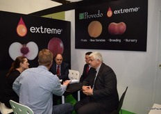 Stand de Provedo, vivero con mas de 80 años de experiencia lider en la venta de plantas de vid, árboles frutales y olivo.