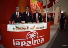 Equipo comercial de Granada La Palma.