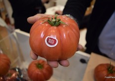 Este tomate no tiene acidez, y su sabor recuerda al tomate plantado en verano en las zonas mediterráneas, aunque su calendario va de diciembre a junio.