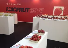 Macfrut 2017: fresas en la foto.