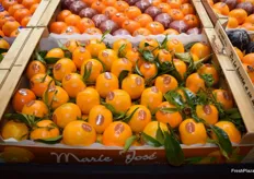 Mandarinas con hoja de la marca Marie José expuestas en el stand de Escrig Gourmet.