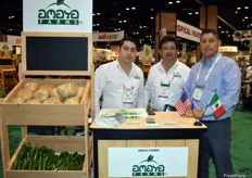 Amaya Farms presentando su producto estrella: La Jicama. En la foto los representantes Ignacio Amaya, Fernando Maintyre y Jorge Amaya.
