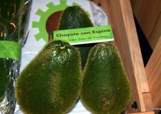 Chayote con espinas del Grupo ADC.