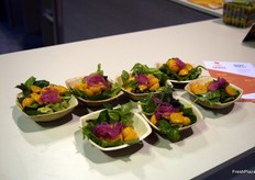 Degustación de ensalada en base a limón y physalis por parte de ProColombia.