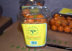 Presentación para llevar de physalis de Caribbean Exotics.