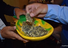 Pitahayas deshidratas.