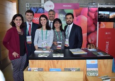 Prochile representado por Alejandro Buvinic, Ricardo Bosnic, Marcel Sobarzo, Jolanda Pizarro, Maria José Urzua e Isabel robles.