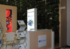 Gramm Agropecuaria S.A., compañía especializada en producción y exportación de arándanos.