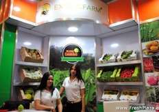 Exotic Farm y Delicas Caribeñas. Freshplaza visitará sus campos durante este viaje, pués más información seguirá.
