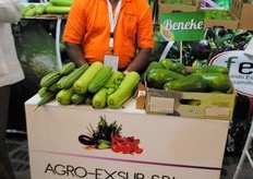 Guillermo de Agro-Exsur de Vegetables Orientales.