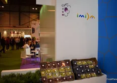Variedades de uva de mesa desarrolladas por ITUM, de Murcia.