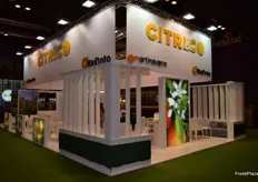 Stand de CITRICO, la nueva empresa unión entre Martinavarro, (de Castellón) y Rio Tinto (de Huelva)