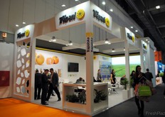 F.G.F Trapani, exportadora de cítricos de Argentina.