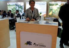 Nora Siniscalchi de Arándanos Marapa, Argentina