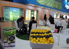 Veracruz, es una empresa familiar mediana, que produce, empaca y exporta cítricos frescos principalmente limones, mandarinas y naranjas