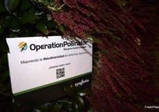 Operación Pollinator, en el stand de Syngenta