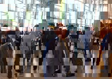 Fermín Sánchez, director general de Gruventa.