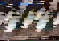 Cebollas dulces con D.O.P. Fuentes de Ebro, expuestas en el stand de FuenCampo.