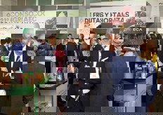 José Bruñó, director general de Frutas Bruñó.