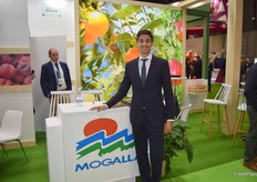 Daniel Blanco, Director Comercial de Mogalla.