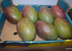 La empresa envasa y etiqueta su fruta sin plástico, en su compromiso con el medio ambiente. Los mangos y aguacates se marcan con láser.