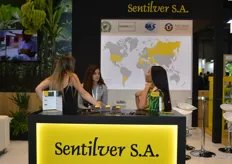 Sentilver S.A. con su banana de Ecuador.