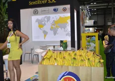 Los visitantes rusos mostraron gran interés por la banana de Sentilver S.A.